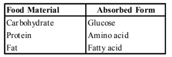 Name the part of the alimentary canal where major absorption of ...